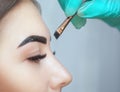 Makeup artist applies paint henna on eyebrows in a beauty salon.