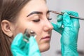 Makeup artist applies paint henna on eyebrows in a beauty salon. Royalty Free Stock Photo