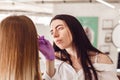 Makeup artist applies paint henna on eyebrows in a beauty salon Royalty Free Stock Photo