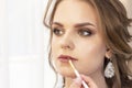 Makeup artist applies makeup to the model. lip paint brush for lipstick. beautiful girl model, portrait. Nude colors in makeup. we