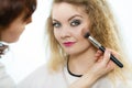 Makeup artist applying with brush rouge on female check Royalty Free Stock Photo