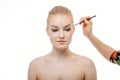 Makeup artist applying eye shadow for beautiful young woman on white background Royalty Free Stock Photo