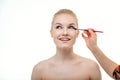 Makeup artist applying eye shadow for beautiful young woman on white background Royalty Free Stock Photo