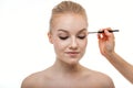 Makeup artist applying eye shadow for beautiful young woman on white background Royalty Free Stock Photo