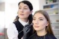 Makeup artist applying the tone of the foundation using special brush on face young beautiful model. Facial care and make up Royalty Free Stock Photo