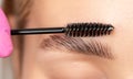 Makeup artist combs eyebrows with a brush after dyeing in a beauty salon.Professional makeup and cosmetology skin care Royalty Free Stock Photo
