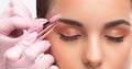 Makeup artist combs and plucks eyebrows after dyeing in a beauty salon.Professional makeup and cosmetology skin care