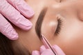 Makeup artist plucks eyebrows after dyeing in a beauty salon. Professional make-up and cosmetic skin care