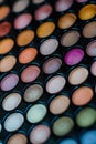 Makeup Artist Professional Color Palette