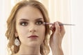 Makeup artist puts makeup on girl model. Brush applies shadows, concealer. beautiful girl model portrait Royalty Free Stock Photo