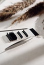Makeup artist tools and accessories for eyelash extensions. Composition of set of eyelashes, tweezers and applicator. Royalty Free Stock Photo