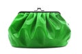 Makeup bag Royalty Free Stock Photo