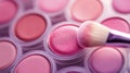 Close-up of a makeup brush applying pink blush powder in a palette Royalty Free Stock Photo