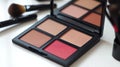 Compact makeup palette with blush and bronzer, including brushes for application Royalty Free Stock Photo