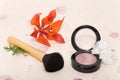 Makeup blusher rouge and brushes Royalty Free Stock Photo