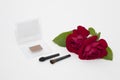 Makeup blusher rouge and brushes with red rose Royalty Free Stock Photo