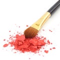 Makeup brush and cosmetic powder