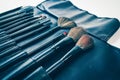 Makeup brush kit Royalty Free Stock Photo