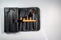 Makeup brush kit. Makeup brush case Royalty Free Stock Photo