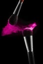 Makeup brush with pink powder isolated on white. Professional cosmetic brushes Royalty Free Stock Photo