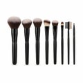 Makeup brush set isolated on white background Royalty Free Stock Photo
