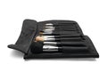 Makeup brushes in black brush holder