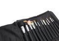 Makeup brushes in black brush holder