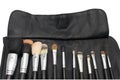 Makeup brushes in black brush holder