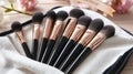 Professional Makeup Brushes Set with Rose Gold Handles in a White Pouch Royalty Free Stock Photo