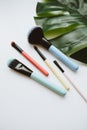 Makeup brushes of different colors on a white background with tropical leaves Royalty Free Stock Photo