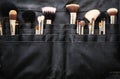 Makeup brushes Royalty Free Stock Photo