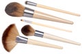 Makeup brushes isolated. Collage set of five new wooden professional make up brushes isolated on a white background. Concept Royalty Free Stock Photo