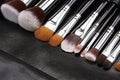 Makeup brushes set on black leather background