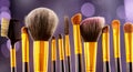 Makeup brushes set over black holiday blinking background. Various professional make up brush on dark backdrop in studio