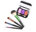 Makeup brushes set for professional on white background Royalty Free Stock Photo