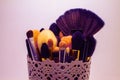 Makeup brushes in vase