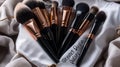Elegant Makeup Brushes Set with Rose Gold Accents on Silk Fabric Royalty Free Stock Photo