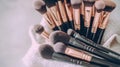 Set of Makeup Brushes on White Towel, Beauty and Cosmetics Tools Royalty Free Stock Photo