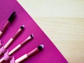 Makeup brushes on your blanket Royalty Free Stock Photo
