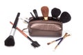 Makeup case with brushes