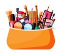 Makeup collection in bag. Decorative cosmetics. Royalty Free Stock Photo