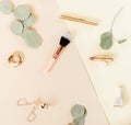 Makeup cosmetic accessories products and eucalyptus branches on pale pink background.
