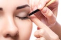 Makeup. Eye shadow brush Royalty Free Stock Photo