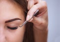 Makeup Master corrects, and strengthens eyelashes beams, holding out a pair of tweezers in a beauty salon