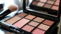 Professional makeup palette with blush and eyeshadow shades, alongside a soft makeup brush. Royalty Free Stock Photo