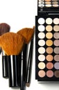 Makeup palette and brushes