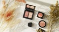 Cosmetic Products Blush and Eyeshadow Palettes with Dried Flowers and Soft Light Royalty Free Stock Photo
