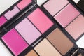 Makeup, pink and brown tone blusher palette Royalty Free Stock Photo