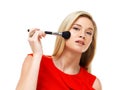 Makeup, portrait and woman in studio with brush application, tools and facial cosmetics. Fashion, beauty product and Royalty Free Stock Photo