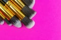 Makeup products. Cosmetic drawing brushes for powder with copy s